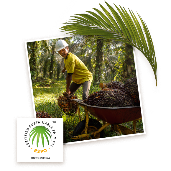 RSPO